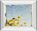 Blackeyed Susan's I By Meghan Mc Sweeney - Mirror Framed Print Wall Art - Light Blue