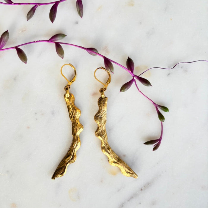 Conch Edge Shell Earrings
