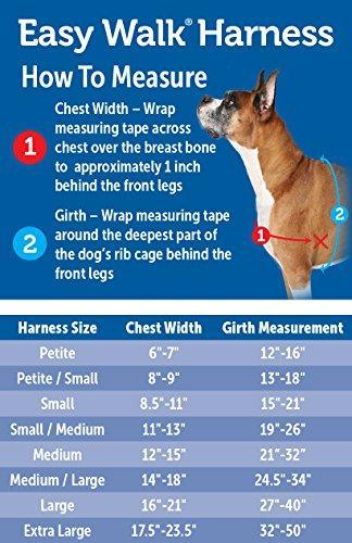 Easy Walk Harness
