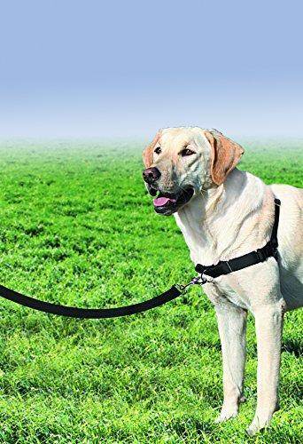 Easy Walk Harness