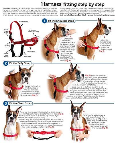 Easy Walk Harness