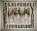 Fern Creek By Susan Jill Double Matted - Framed Wall Art - Light Brown