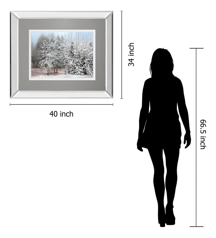Frosty Morning By Mike Jone - Mirror Framed Print Wall Art - Gray