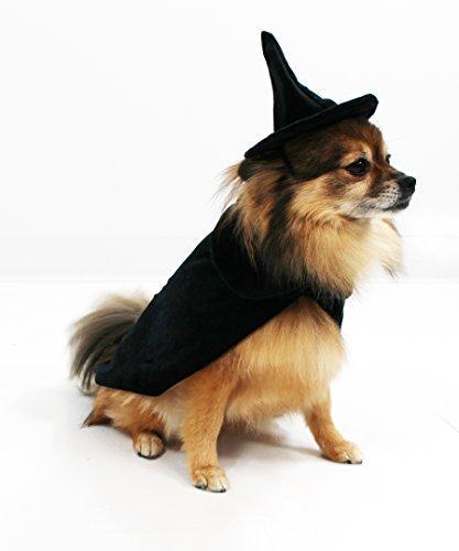 Halloween Witch Cape and Hat Dog Costume