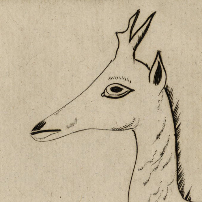 Joseph Hecht Tete de Jeune Cerf (original French title) Head of a Young Deer - engraving on laid paper, 1928.