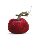 Hot Pink Pumpkin