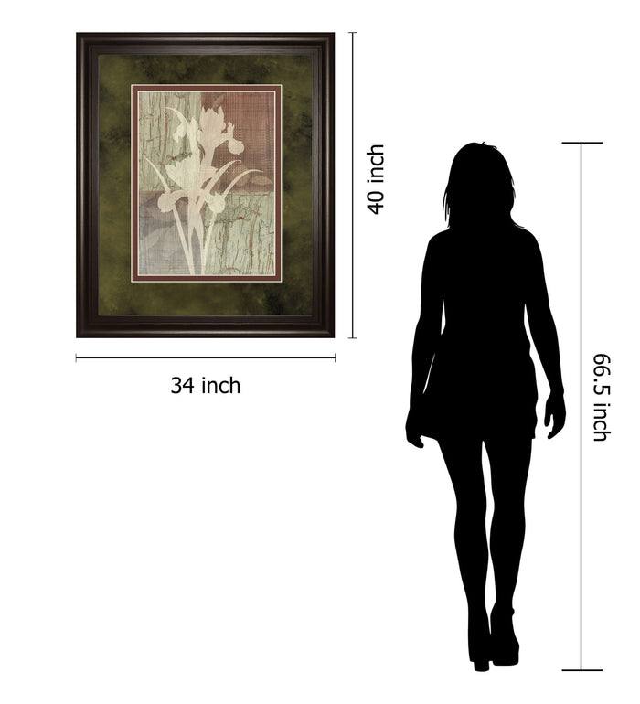 Iris Silhouette By Various - Framed Print Wall Art - Light Brown
