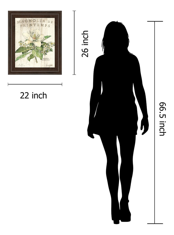 Magnolia De Printemps By Sue Schlabach - Framed Print Wall Art - Beige