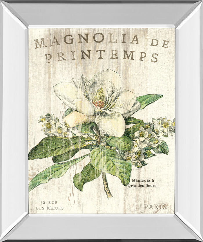 Magnolia De Printemps By Sue Schlabach - Mirror Framed Print Wall Art - Beige