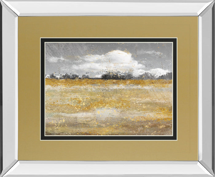 Meadow Shimmer Il By Nan - Mirror Framed Print Wall Art - Light Brown