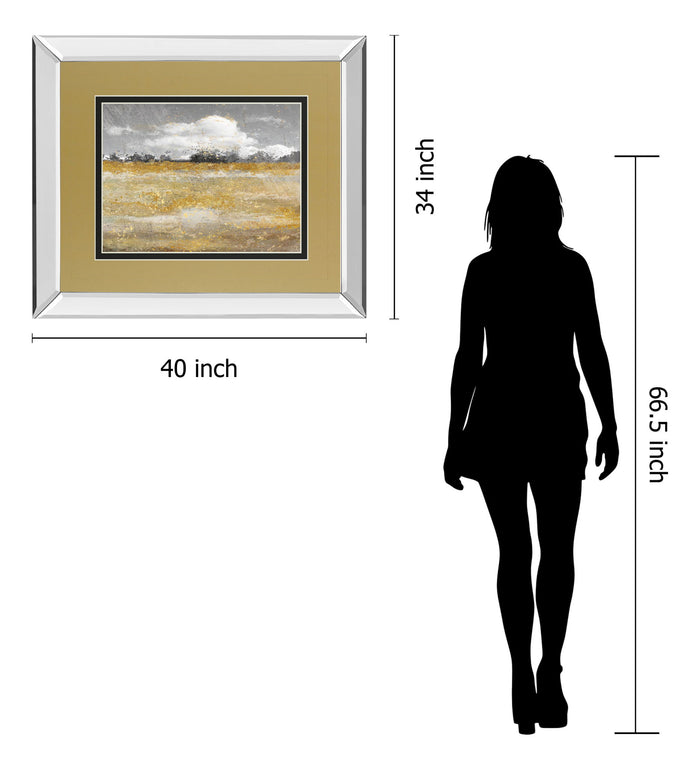 Meadow Shimmer Il By Nan - Mirror Framed Print Wall Art - Light Brown