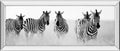 Meeting Place By Papiorek N - Mirrored Frame Wall Art - Gray