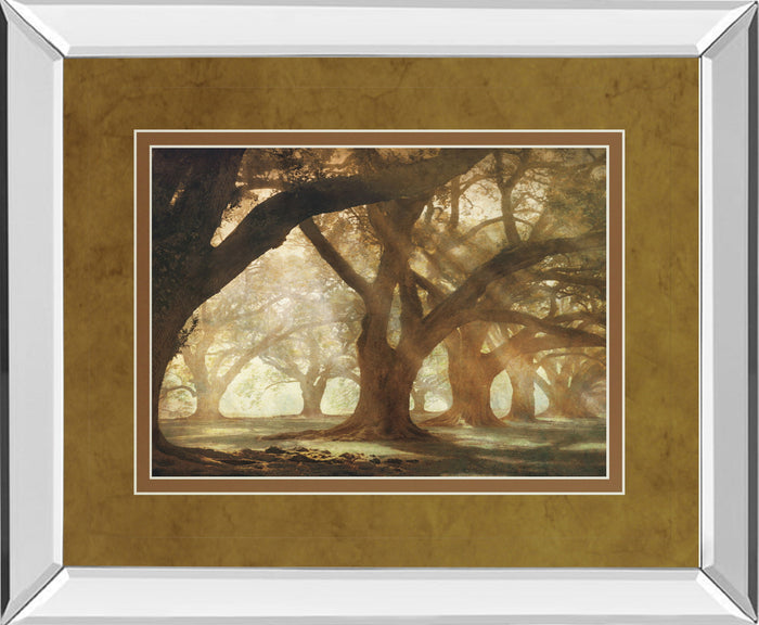 Oak Alley Morning Light By William Guion - Mirror Framed Print Wall Art - Light Brown