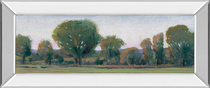 Panoramic Treeline Il By Tim Otoole - Mirror Framed Print Wall Art - Dark Green
