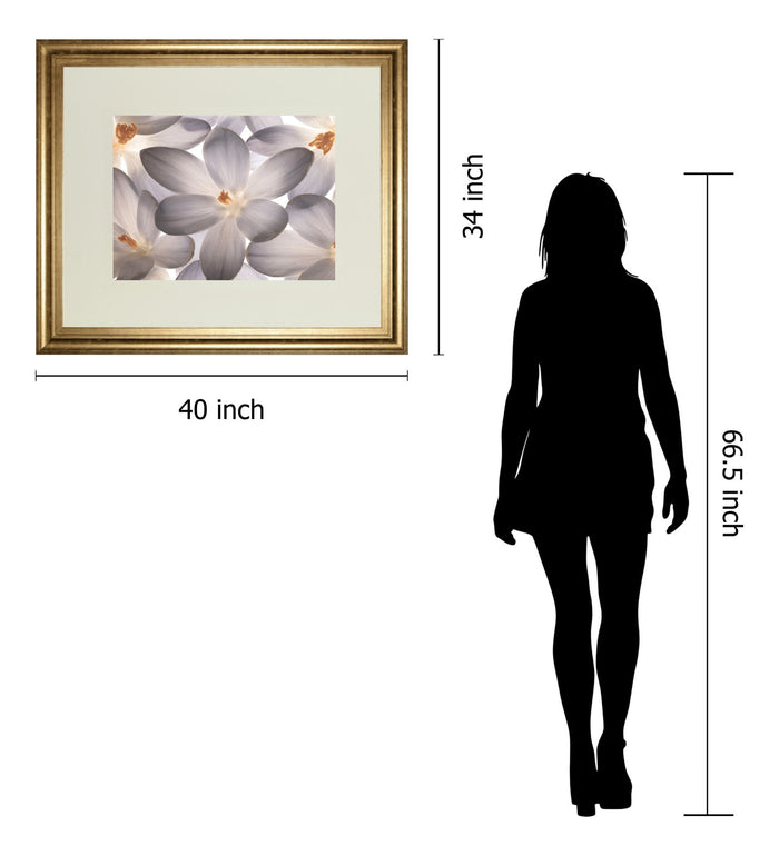 Petal Perfect By Assaf Frank - Framed Print Wall Art - Beige
