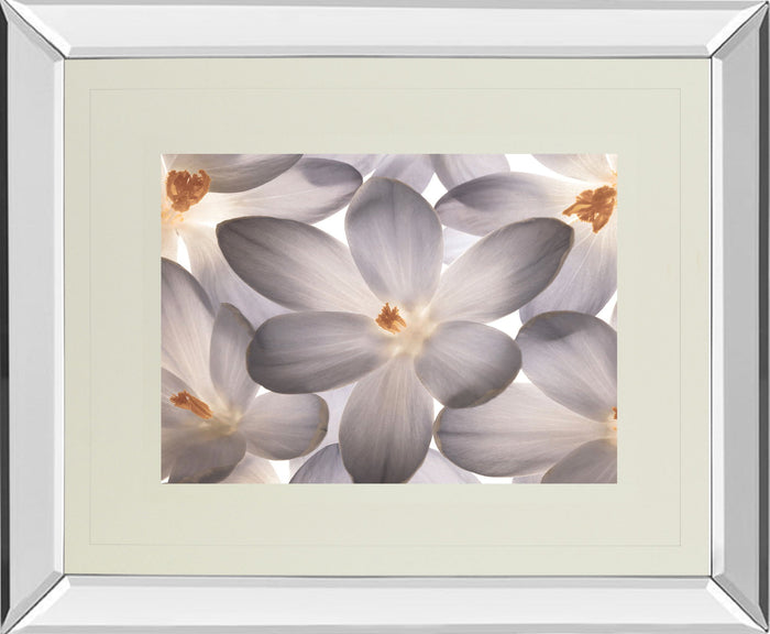 Petal Perfect By Assaf Frank - Mirror Framed Print Wall Art - Beige