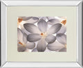 Petal Perfect By Assaf Frank - Mirror Framed Print Wall Art - Beige