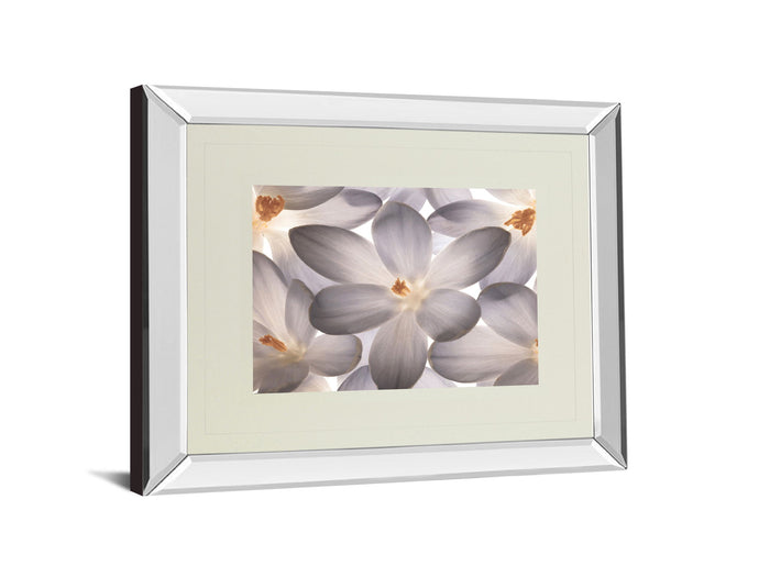 Petal Perfect By Assaf Frank - Mirror Framed Print Wall Art - Beige