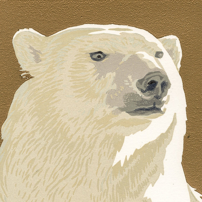 Erik VAN OMMEN - Ijsbeer - Polar Bear - Color woodcut reduction with gold background - detail