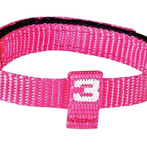 Puppy ID Collars 8-Pack