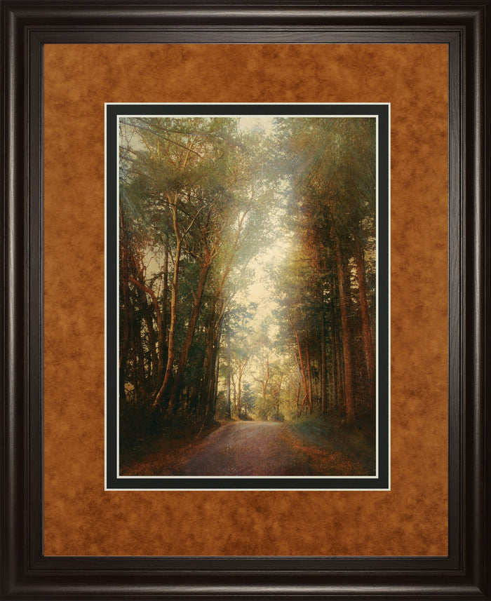 Road Of Mysteries Il By Amy Melious - Framed Print Wall Art - Light Brown