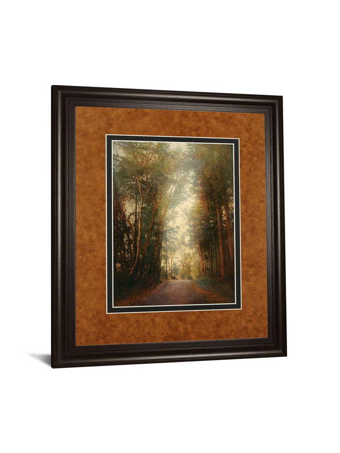 Road Of Mysteries Il By Amy Melious - Framed Print Wall Art - Light Brown