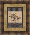 Rose Refined Il By Carol Robinson - Framed Print Wall Art - Light Brown
