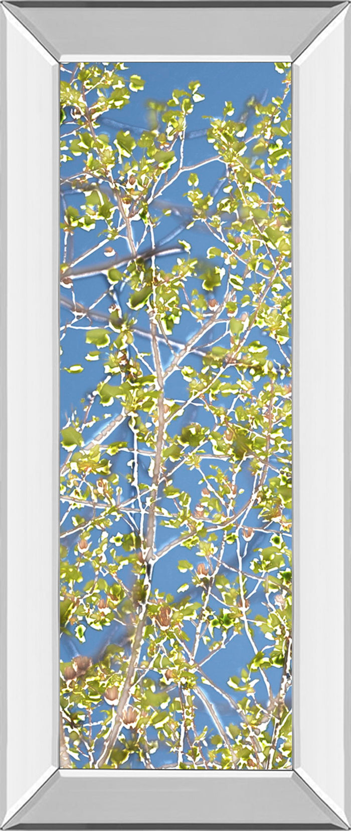 Spring Poplars I By Sharon Chandler - Mirror Framed Print Wall Art - Light Blue
