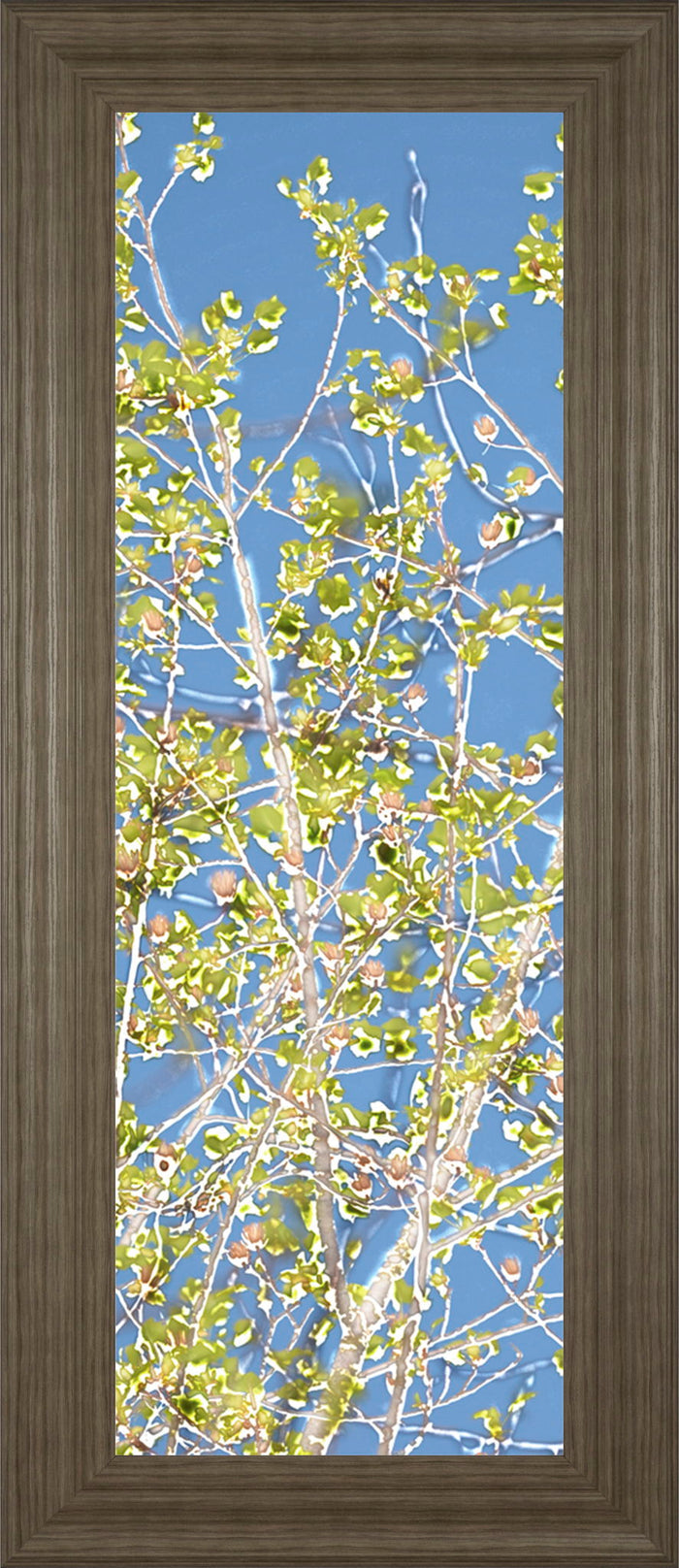 Spring Poplars Il By Sharon Chandler - Framed Print Wall Art - Light Blue