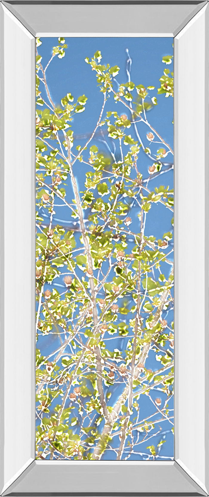 Spring Poplars Il By Sharon Chandler - Mirror Framed Print Wall Art - Light Blue