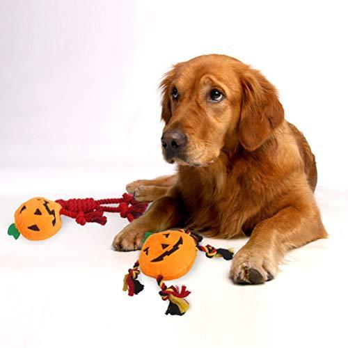Squeaky Pumpkin Dog Toy Set