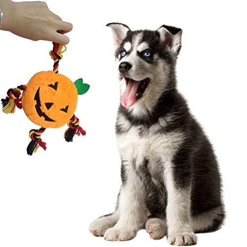 Squeaky Pumpkin Dog Toy Set