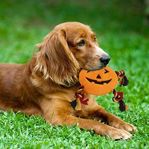 Squeaky Pumpkin Dog Toy Set