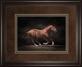 Stallion On Black By Edoma Photo - Framed Print Wall Art - Dark Brown
