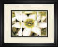 Star Of Bethlehem Triptych By Levine A. - Beige
