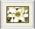 Star Of Bethlehem Triptych By Levine A. Mirrored Frame - Beige
