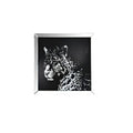 Talisha - Wall Art - Mirrored & Faux Crystal Leopard