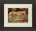 The Crossing By Wendy Caro - Framed Print Wall Art - Light Brown